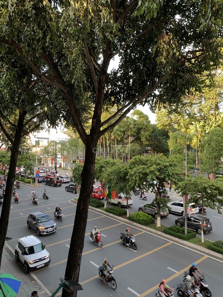 Chính chủ - Mặt tiền đường Quang Trung gần Đại lộ Hoà Bình - Ảnh 1