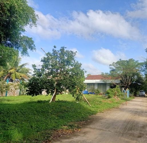 Bán gấp Mặt đường Quản Lộ Phụng Hiệp, Tân Thành, Cà Mau, 8898m, ngang 69m, chỉ 29 tỷ. - Ảnh 1