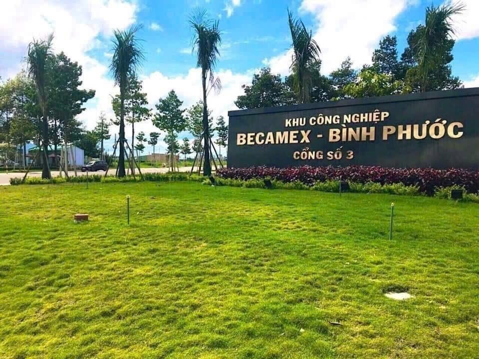 BÁN GẤP 3.000M2 GIÁ 195 TRIỆU, ĐẤT MT GẦN CHỢ, SỔ HỒNG RIÊNG ☎️ 0969.950.161 ( Gặp Chủ ) - Ảnh 3
