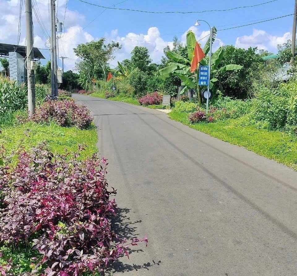 BÁN GẤP 3.000M2 GIÁ 195 TRIỆU, ĐẤT MT GẦN CHỢ, SỔ HỒNG RIÊNG ☎️ 0969.950.161 ( Gặp Chủ ) - Ảnh 6