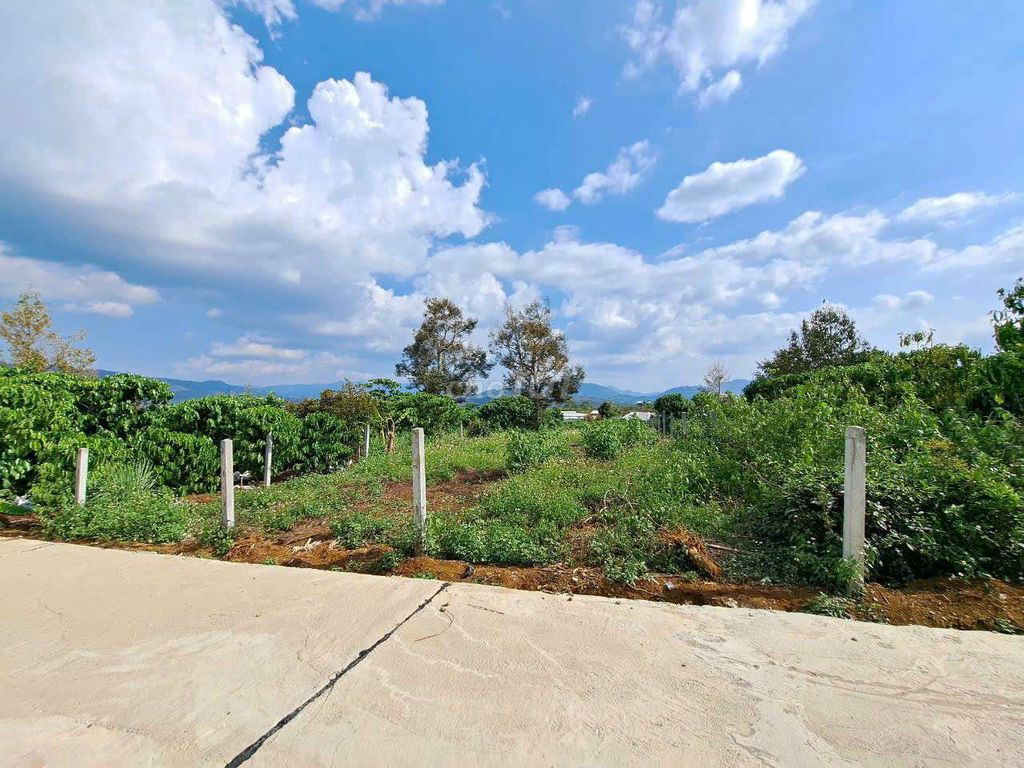 500m2 đất đẹp cần bán cho nhà đầu tư - Ảnh 2