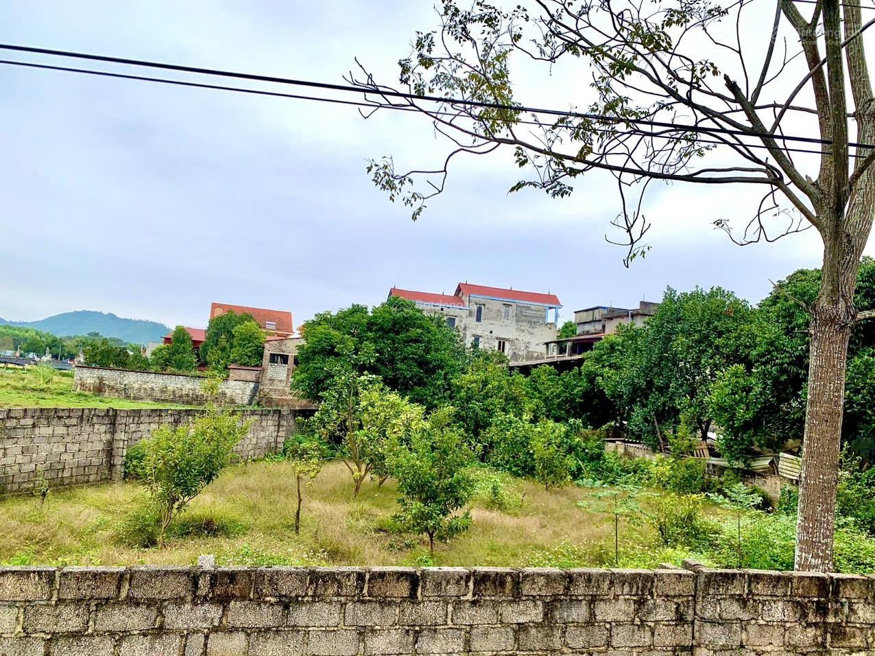 Gia đình cần bán lô đất P. Linh Sơn TP Thái Nguyên 421m2 MT gần 27m hàng xóm bác Phan Văn Giang