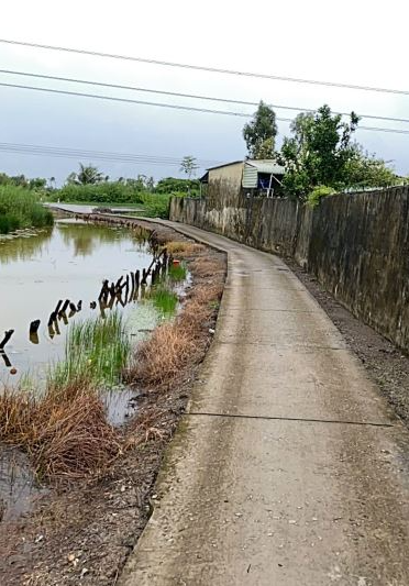 Bán 10.737m2 đất, quản lộ phụng hiệp, Phường Tân Thành, TP. Cà Mau - Ảnh 3