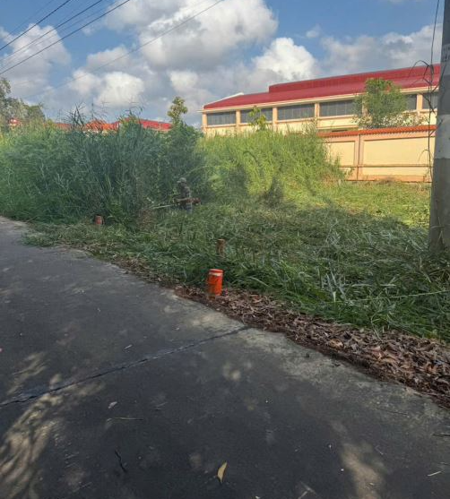 Cần bán gấp nền 460 triệu SỔ riêng tại Thành phố Cà Mau - Ảnh 5