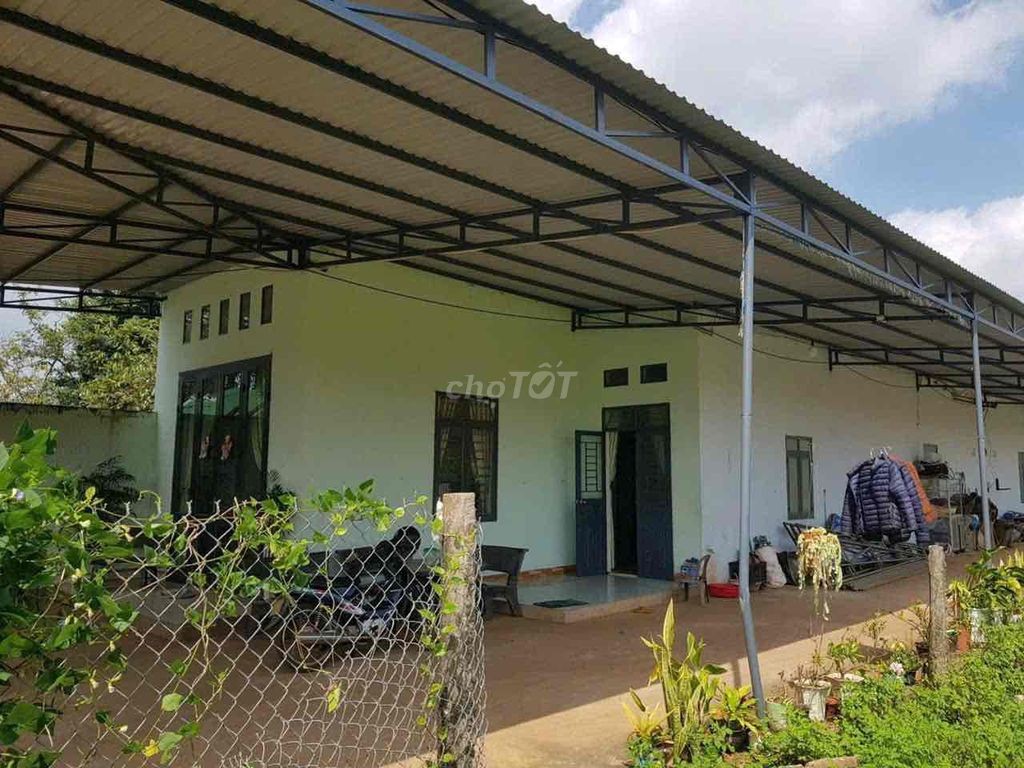 BÁN GẤP GIÁ RẺ,CÓ THÊM 1000m2 ĐẤT RUỘNG FULL giấy tờ. - Ảnh 3