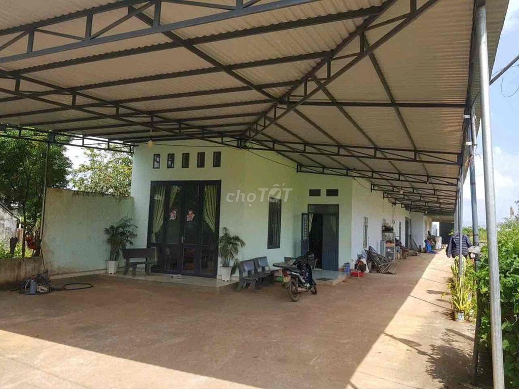 BÁN GẤP GIÁ RẺ,CÓ THÊM 1000m2 ĐẤT RUỘNG FULL giấy tờ. - Ảnh 4