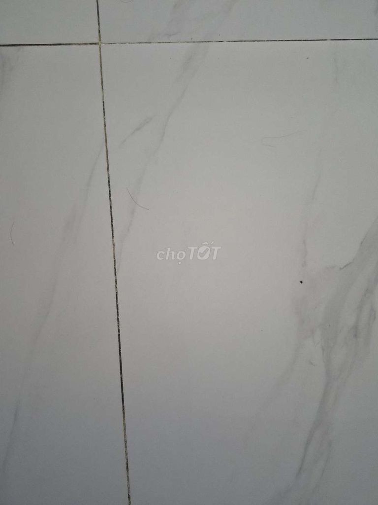 NHÀ BÁN TRUNG TÂM TPCT - Ảnh 2