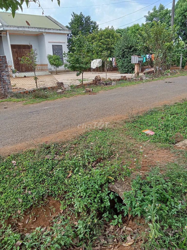 Cho thuê nhà rộng 200m2 4 phòng ngủ gần ủy ban xã IA BÁ cũ