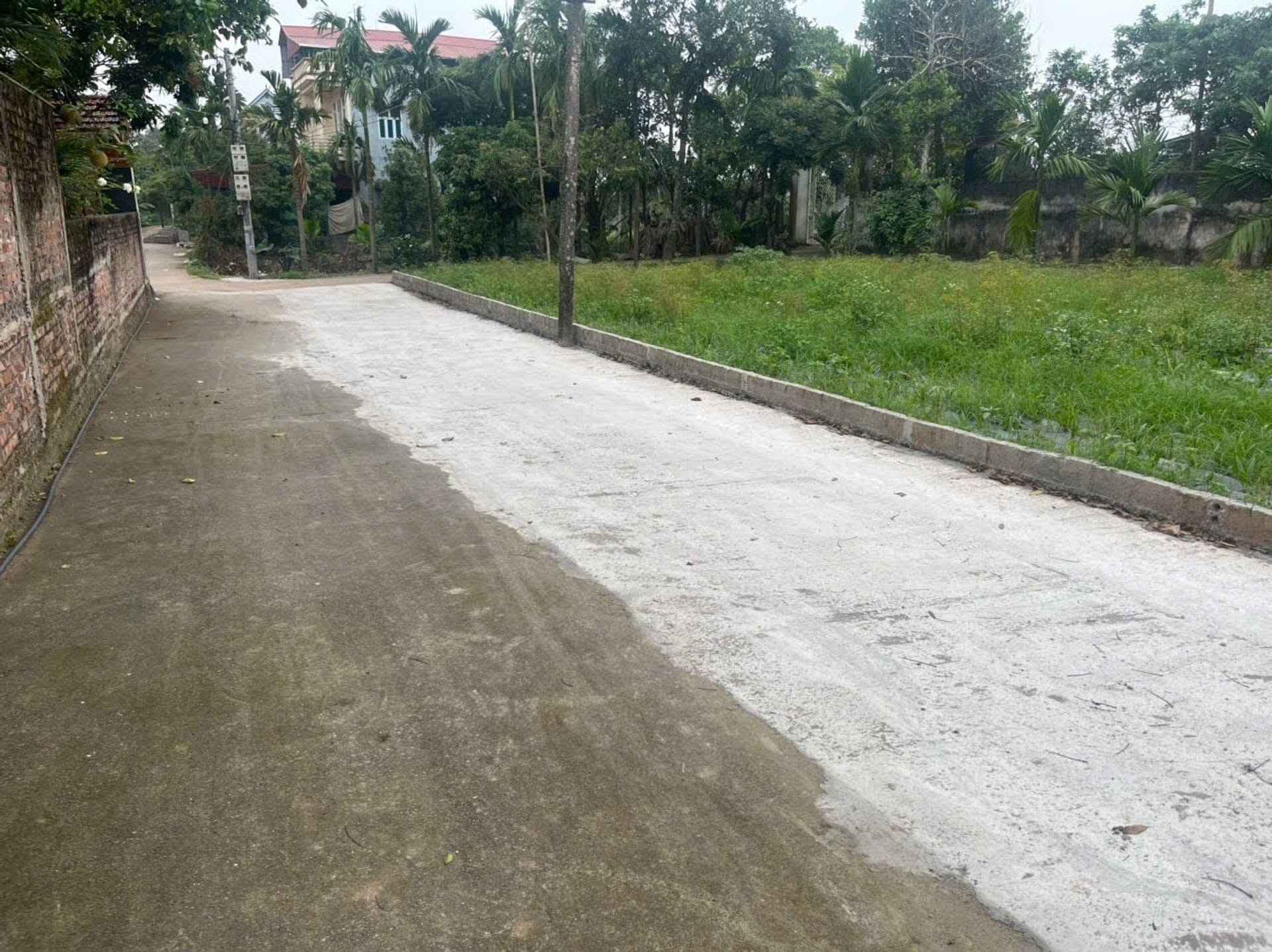 HỒNG CHÂU – ĐẤT ĐẸP, Ô TÔ VÀO TẬN ĐẤT - Ảnh 2