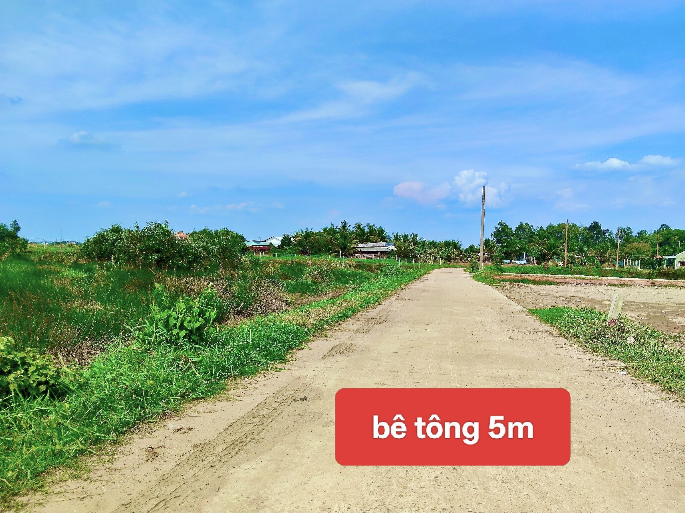 CẦN TIỀN BÁN GẤP - ĐẤT KẾ BÊN KCN ĐỨC HÒA 3 - KẾ BÊN CỦ CHI - HÓC MÔN - XÂY TRỌ, ĐẦU TƯ ĐỀU RẤT OK - 850 TRIỆU (5X30) VIP - Ảnh 6