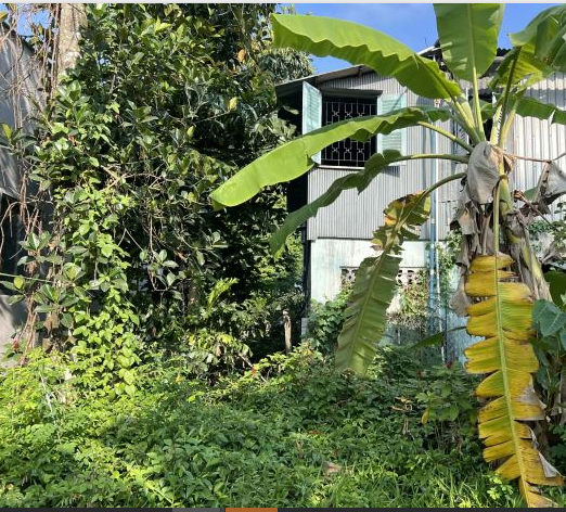 BÁN ĐẤT 291M2 FULL THỔ CƯ GIÁ CHỈ 3TY900 - LONG PHÚ, AN GIANG - Ảnh 3