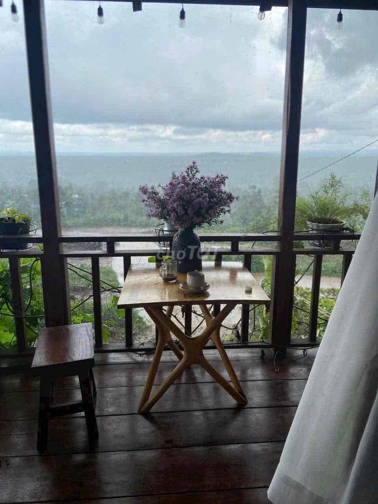 Homestay view đồi hoàng hôn cuối Nguyễn Hữu Thấu 17x20m - Ảnh 3