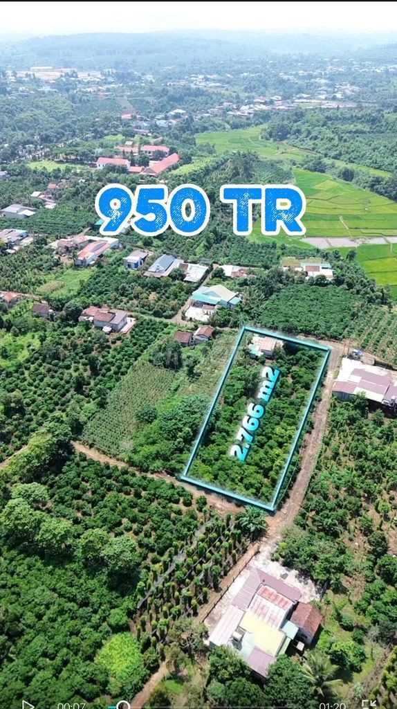 Bán 2.766 m2 có sẵn 400m2 Thổ Cư, có nguồn thu cà phê - Ảnh 3