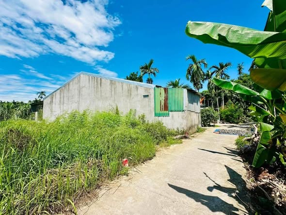 ĐẤT AN HÀ 1, VEN TP QUẢNG NGÃI, GẦN PHAN ĐÌNH PHÙNG TƯ NGHĨA, CHỦ CẦN BÁN GIÁ ĐẦU TƯ 5xxtr TL ! - Ảnh 3