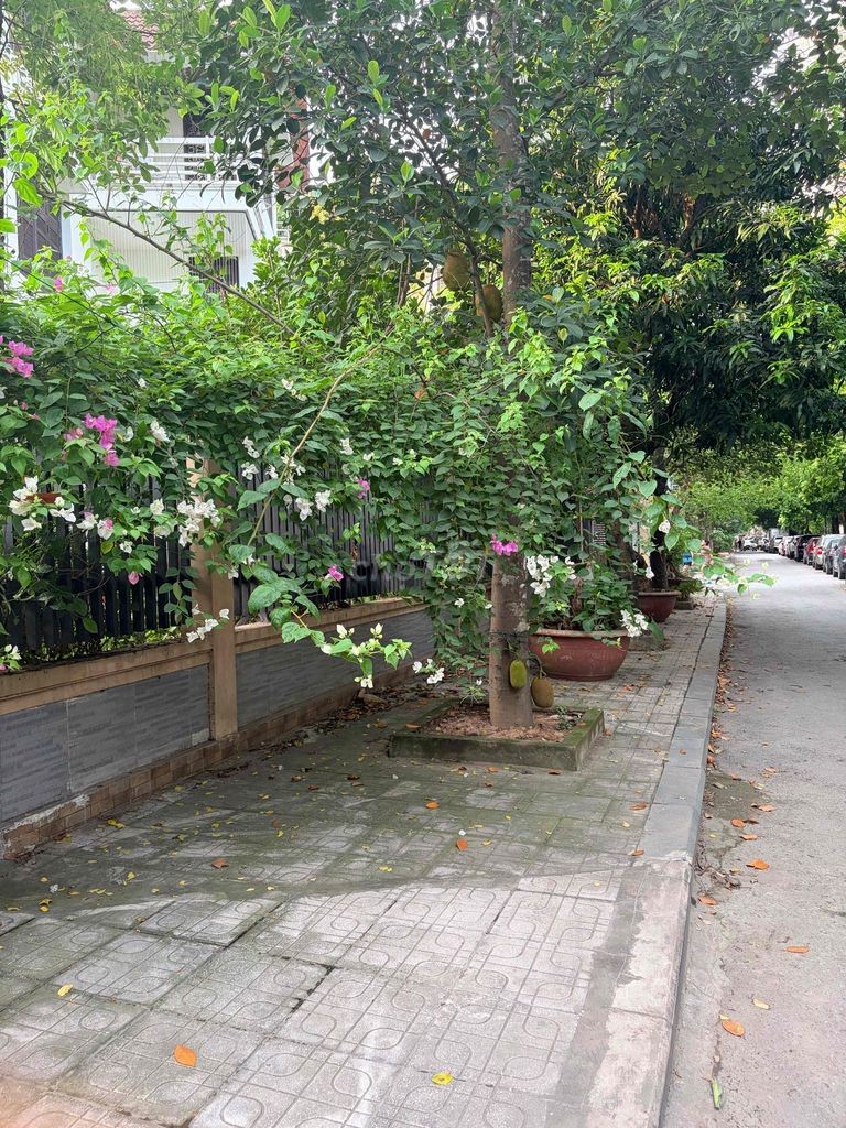 Bán đất Phú Sơn, Ninh Bình - Ảnh 3