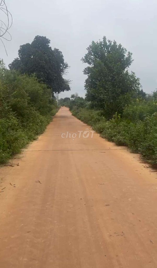 Kẹt tiền bán đất TP Pleiku cách sân bay 12km - Ảnh 2