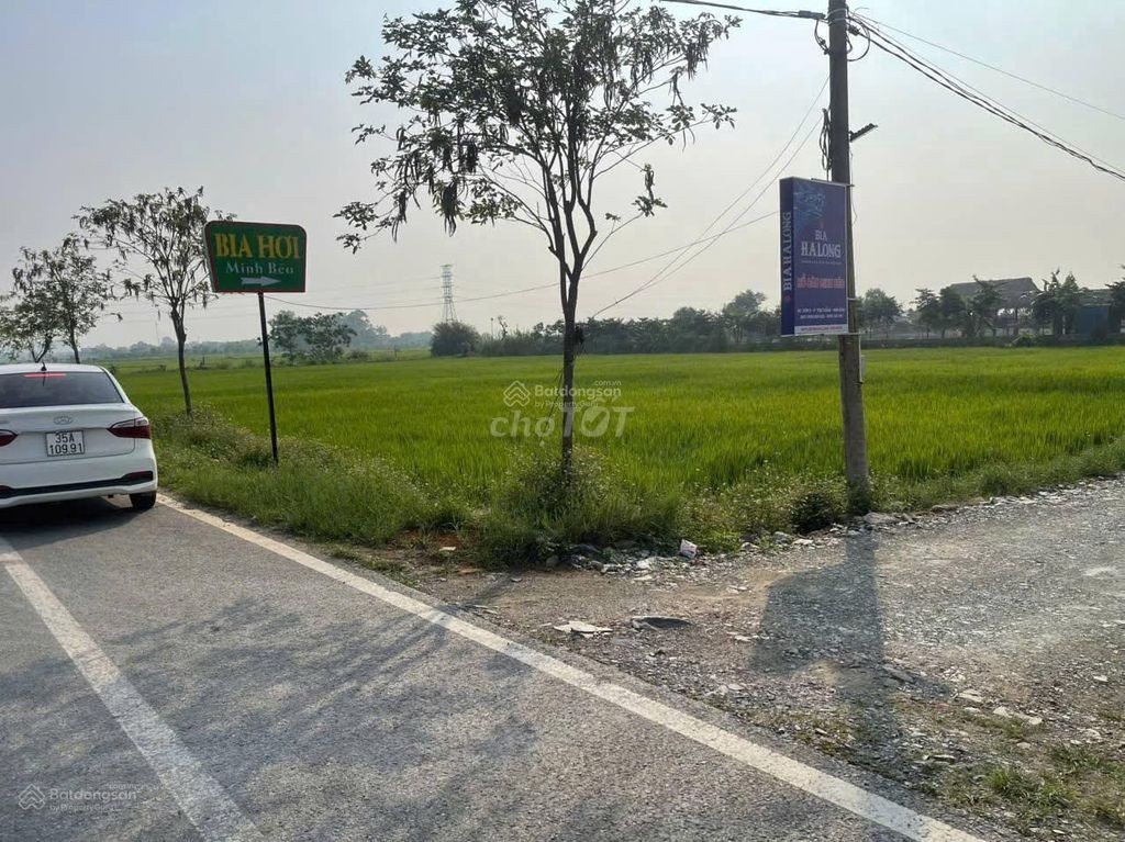 Bán đất Ninh Bình, ngay cao tốc, 2,8 tỷ, 110m2 - Ảnh 4