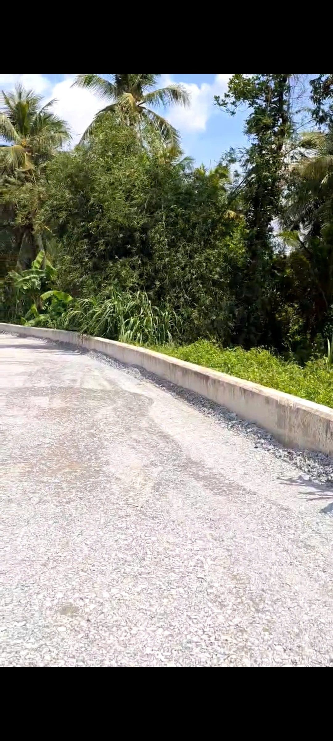 Bán Đất 5089m2 có sẵn 300 m2 thổ cư giá 68.9 tỷ tại Đường Đê Bao Nhị Bình 22 Xã Nhị Bình Huyện Hóc Môn TP. Hồ Chí Minh - Ảnh 5