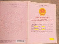 Bán gấp đất tại Trịnh Tú, 42 tỷ, 230m2, pháp lý đầy đủ - Ảnh 2