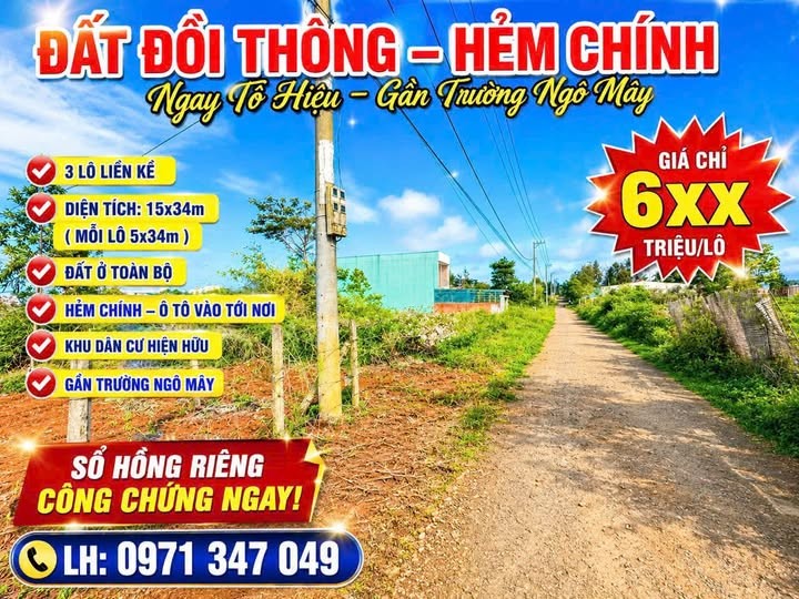 🔥 ĐẤT ĐỒI THÔNG – HẺM CHÍNH GẦN TÔ HIỆU 🔥 - Ảnh 1