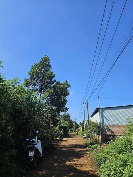 💥 Đất hẻm chính Lý Thường Kệt. Phường An Phú - Ảnh 1