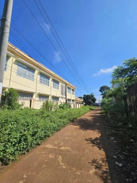 💥 Đất hẻm chính Lý Thường Kệt. Phường An Phú - Ảnh 3