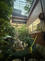 Cách phố cổ 200m, mặt đường Trần Hưng Đạo, chính chủ cần bán nhà