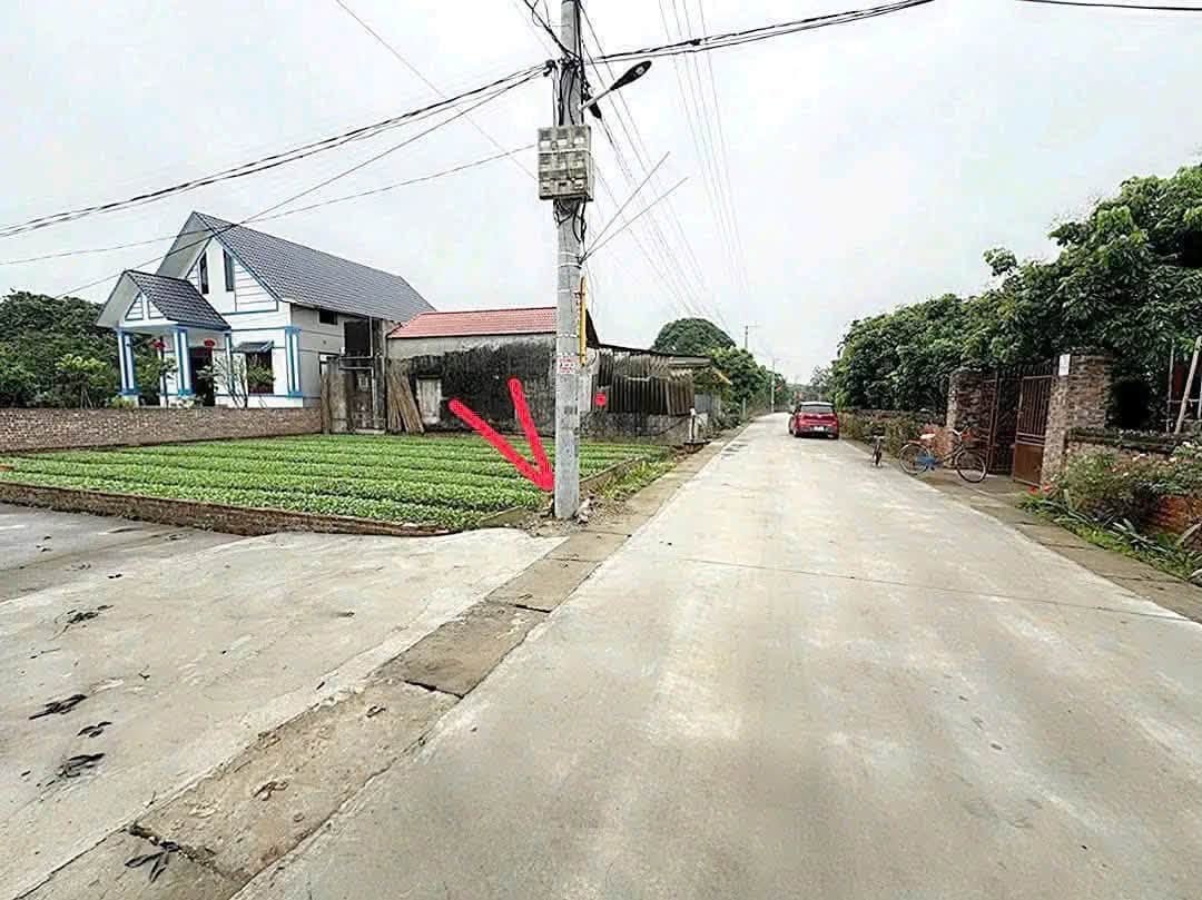 chủ cần tiền cắt lỗ giảm sâu bán gấp lô góc đất Đông Tảo - Khoái Châu - Hưng Yên