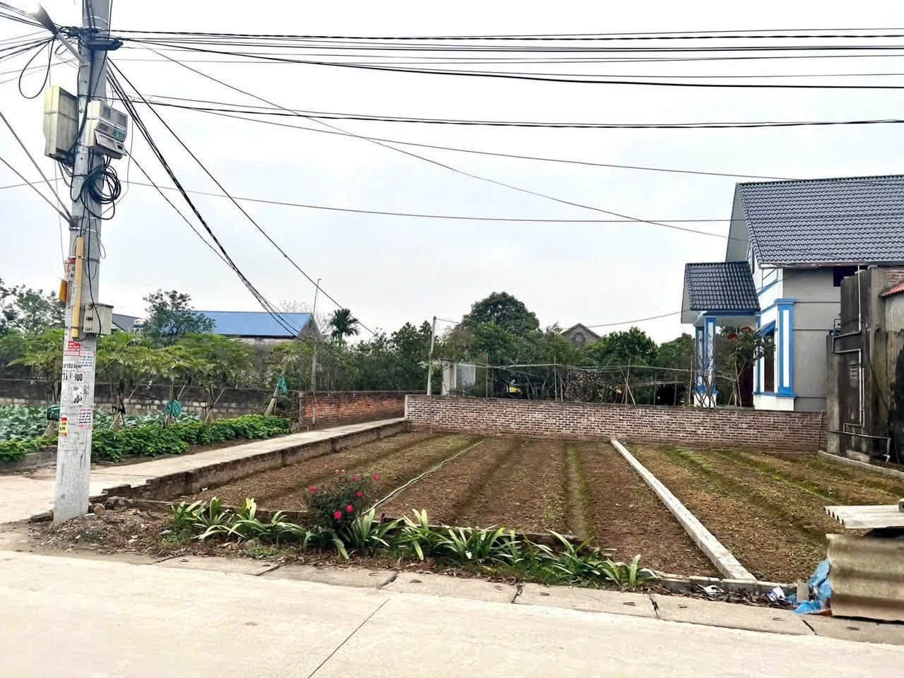 chủ cần tiền cắt lỗ giảm sâu bán gấp lô góc đất Đông Tảo - Khoái Châu - Hưng Yên