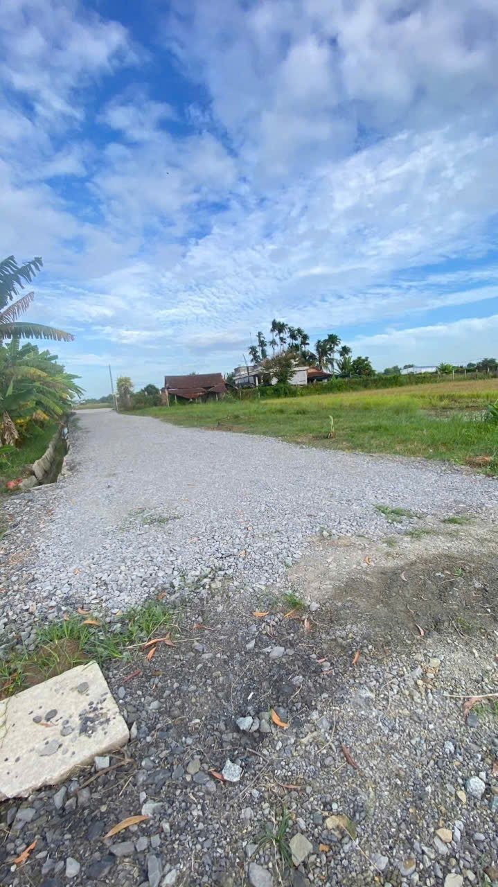 Bán đất Vườn 500m,Gần Tỉnh Lộ 7,Sổ Riêng ,Thái Mỹ Củ Chi - Ảnh 1