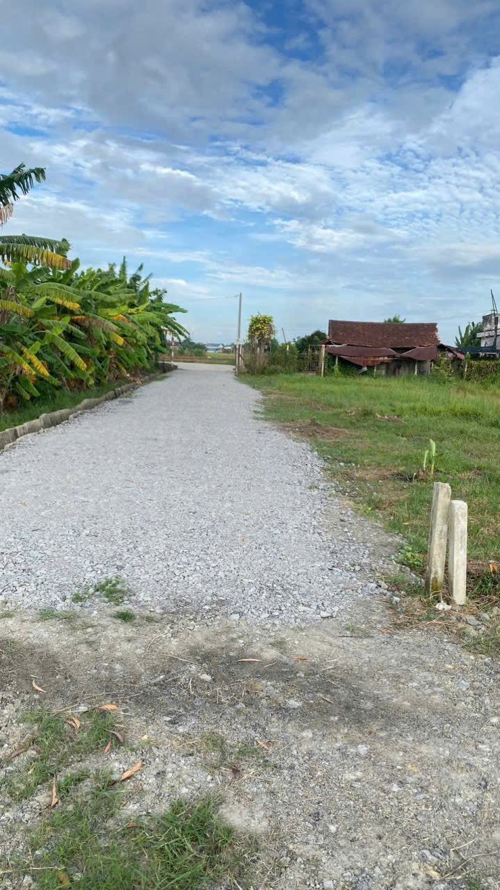 Bán đất Vườn 500m,Gần Tỉnh Lộ 7,Sổ Riêng ,Thái Mỹ Củ Chi - Ảnh 2