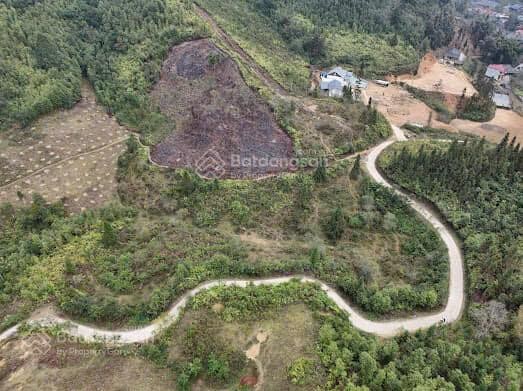 Bán 4,5ha đất du lịch (Bắc Hà), đường rộng ô tô vào tận đất, view rất đẹp, phù hợp làm nghỉ dưỡng - Ảnh 1