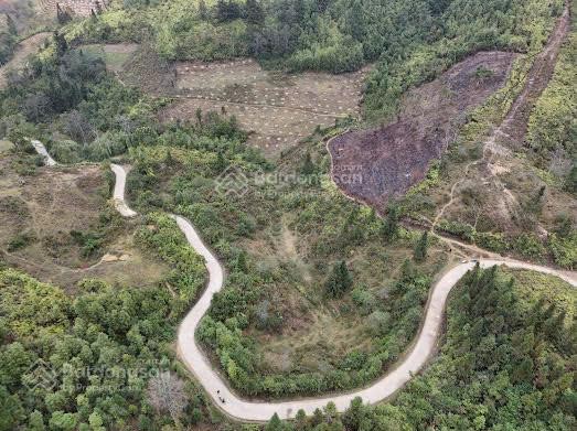 Bán 4,5ha đất du lịch (Bắc Hà), đường rộng ô tô vào tận đất, view rất đẹp, phù hợp làm nghỉ dưỡng - Ảnh 2