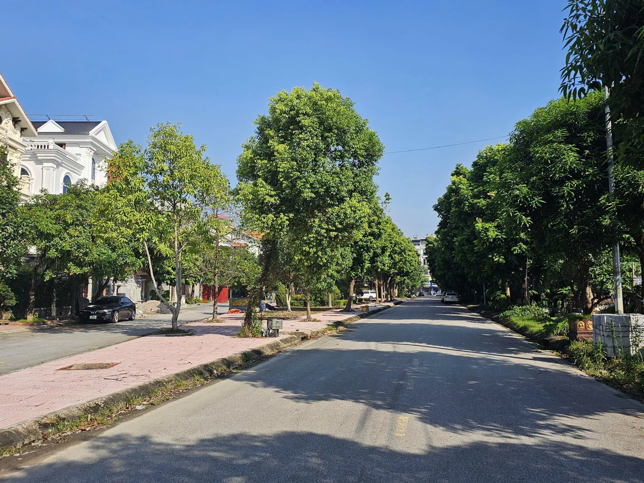 Cần bán lô đất Phân Lô Làn 2 đường Nguyễn Trãi Bò Sơn , Nhìn sang Biệt Thự Đại Hoàng Long