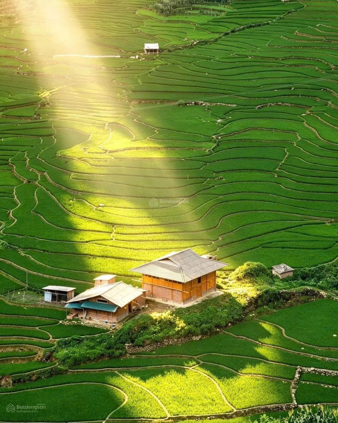 Bán đất tại Ô Quý Hồ - Sapa - Diện tích 13.500m2, giá cực ngon 40 tỷ - Ảnh 1