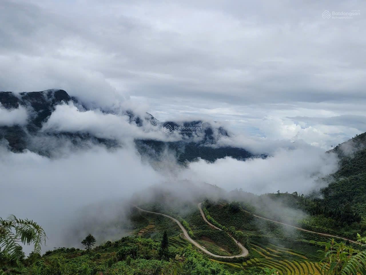 Chính chủ bán 3000m2 đất thị xã Sapa, mặt đường chính, rộng, đẹp, phù hợp homesay, nhà hàng - Ảnh 1