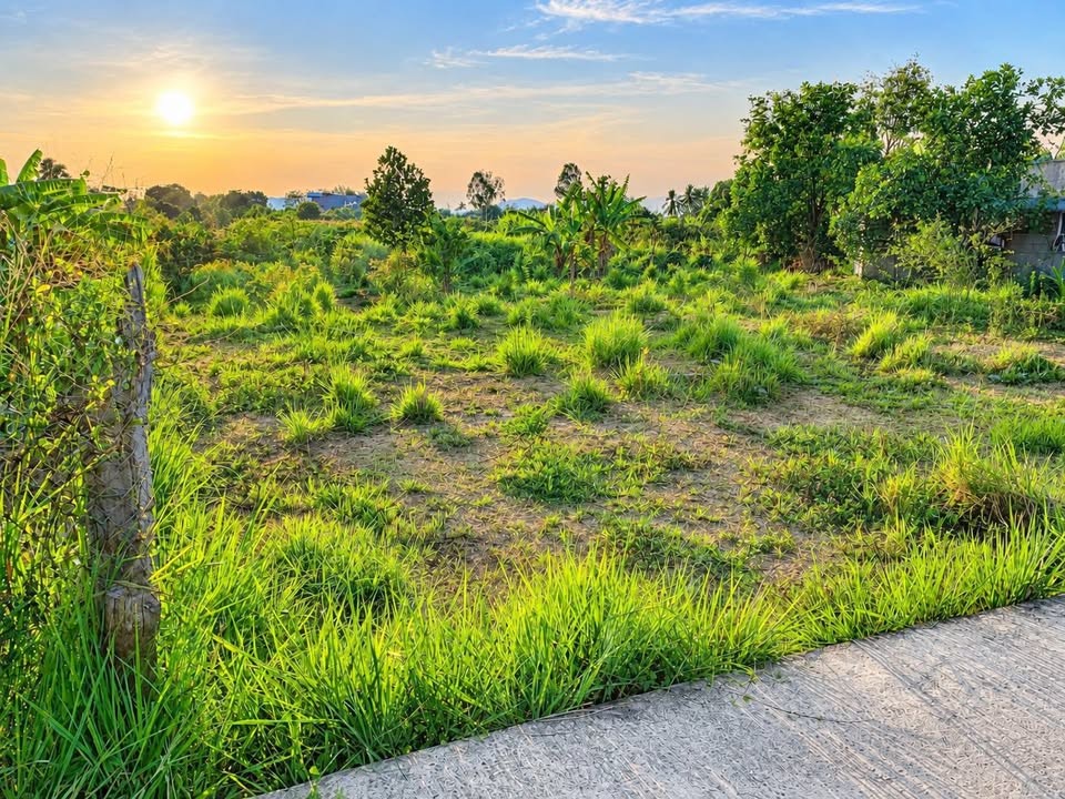 BÁN LÔ ĐẤT CÂY TRỒNG 1.000M² – MẶT TIỀN ĐƯỜNG BÊ TÔNG THÔN PHÚ NHANG XÃ HÀM HIỆP - HTB - BT ( NAY LÀ PHƯỜNG BÌNH THUẬN - TỈNH LÂM ĐỒNG) - Ảnh 1