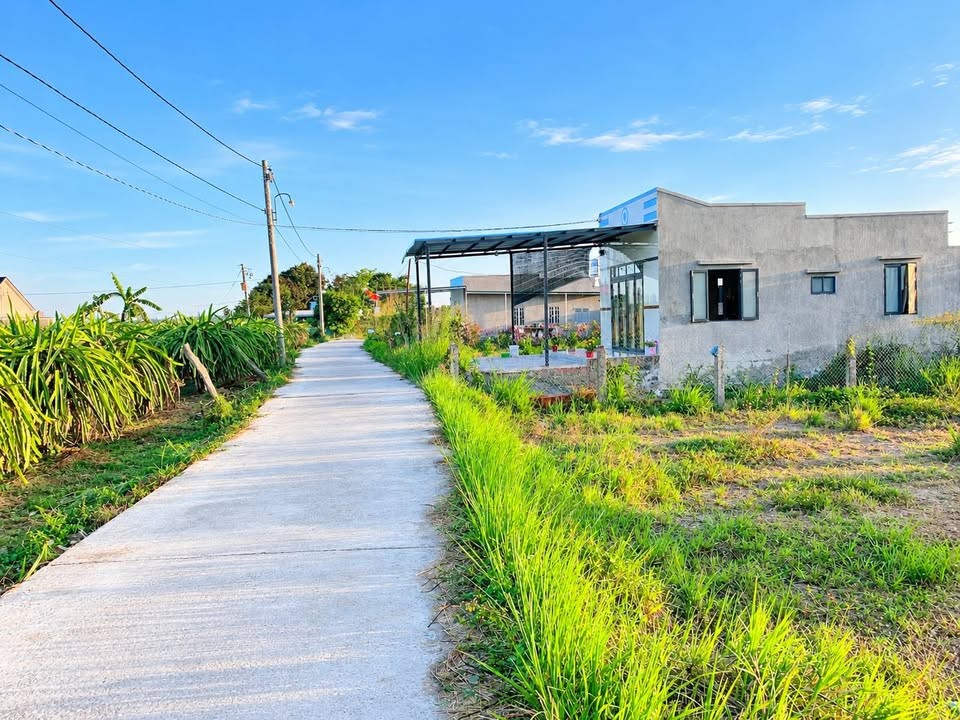 BÁN LÔ ĐẤT CÂY TRỒNG 1.000M² – MẶT TIỀN ĐƯỜNG BÊ TÔNG THÔN PHÚ NHANG XÃ HÀM HIỆP - HTB - BT ( NAY LÀ PHƯỜNG BÌNH THUẬN - TỈNH LÂM ĐỒNG) - Ảnh 2