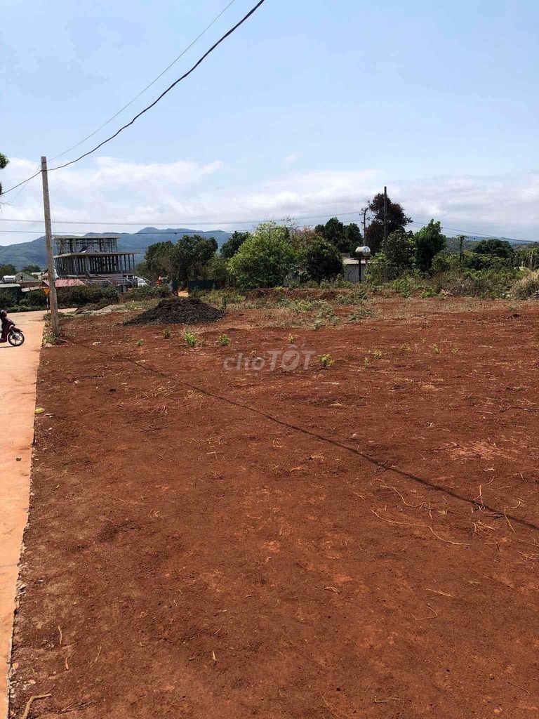 Bán đất nên gần UBND xã Hướng Phùng Quảng Trị. Diện tích 457m2 - Ảnh 7