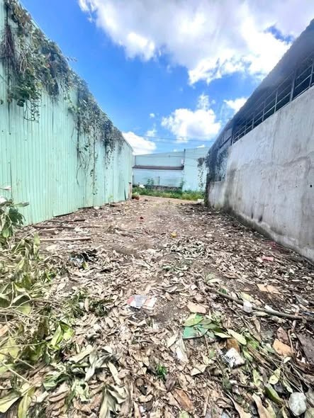 ❗️ Chuyển Nhượng Đất hẻm 62  Lương Đình Của  - p. Hội Phú trung tâm Pleiki - Ảnh 2