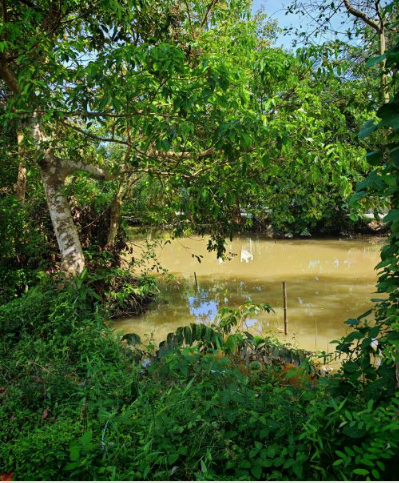 🔰 Bán Lô Đất Lớn Mặt Tiền Đường cặp Rạch Gòi Lớn Mỹ Quý - View Kênh! - Ảnh 2