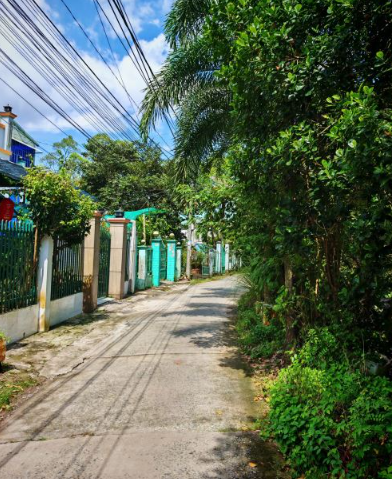 🔰 Bán Lô Đất Lớn Mặt Tiền Đường cặp Rạch Gòi Lớn Mỹ Quý - View Kênh! - Ảnh 3
