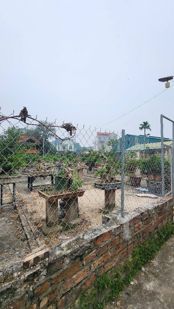 ĐẤT ĐẸP ,XUÂN QUAN-PHỤNG CÔNG, HÀNG XÓM ECOPARK, NGAY CẠNH BÁT TRÀNG, NHỈNH 4 ĐỒNG. - Ảnh 1