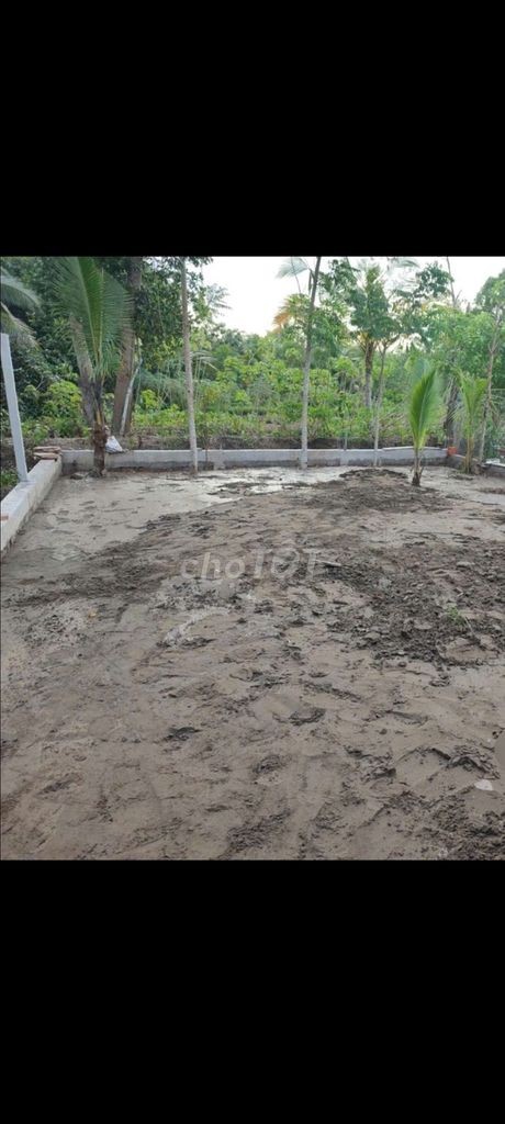 Bán nhà đất chính chủ gần Trung Tâm Ninh Kiều - Ảnh 8