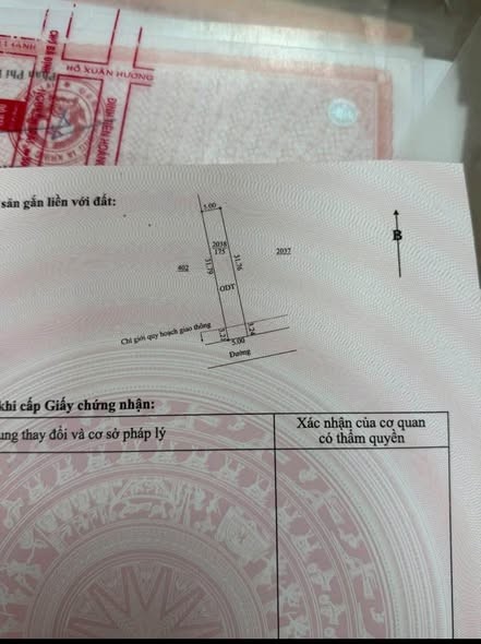 Cần bán lô đất tặng nhà tôn ở tạm thuộc hẻm nguyễn chí thanh