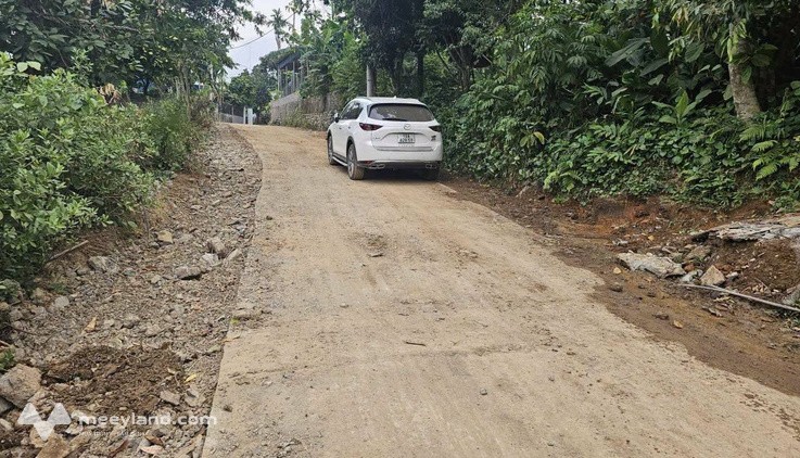 Bán lô đất 177m2 kèm nhà cấp 4 tại xã Bắc Phong, huyện Cao Phong, tỉnh Hòa Bình cũ - Ảnh 1