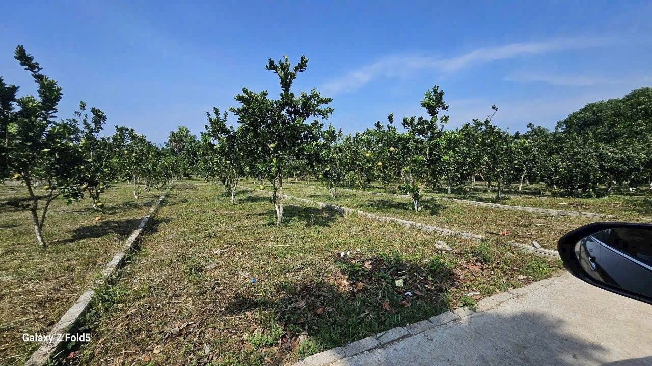 Chính chủ cần bán lô đất 177m2 đối diện KCN Bảo Hiệu giá chỉ từ 200tr