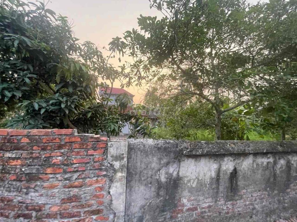 bán đất tại Cống Hiền , Vĩnh bảo