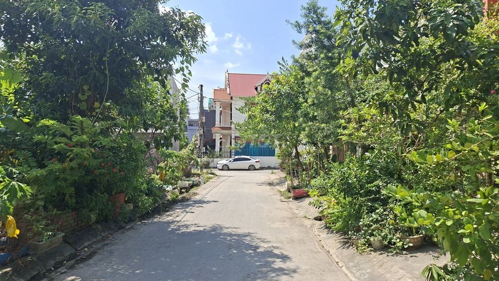 🏡 BÁN ĐẤT PHÂN LÔ – 92.6m2 TỔ 6, P. AN DƯƠNG, HẢI PHÒNG - Ảnh 2
