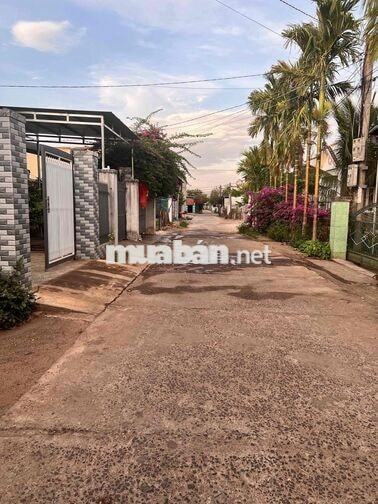 Cần bán đất đối diện chợ Đoàn Kết, xã Hoà Khánh cũ. - Ảnh 2